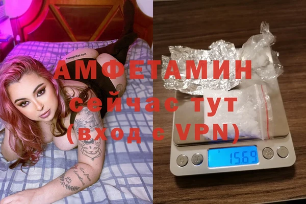 молекула духа Пестово