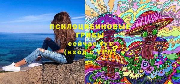 не бодяженный Белокуриха