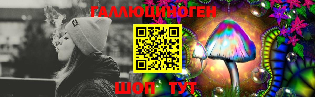 Псилоцибиновые грибы Cubensis Сегежа